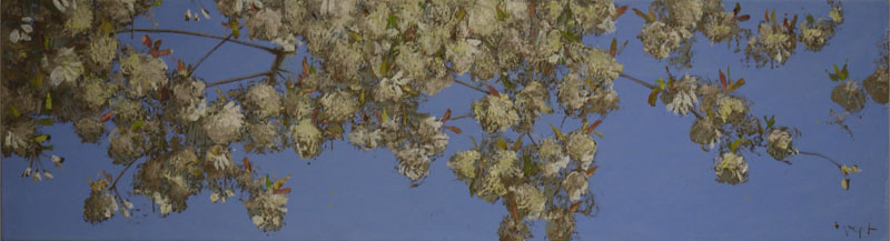 Prunus, olieverf op linnen, 65x200cm, 2014